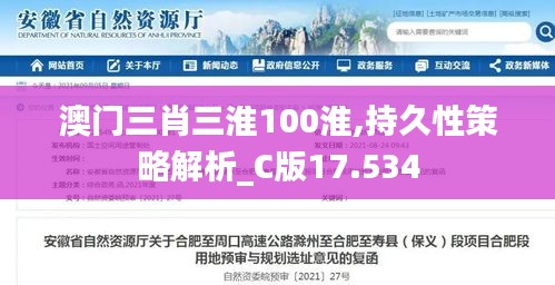 澳门三肖三淮100淮,持久性策略解析_C版17.534