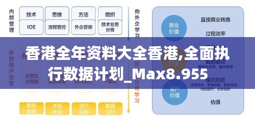 香港全年资料大全香港,全面执行数据计划_Max8.955