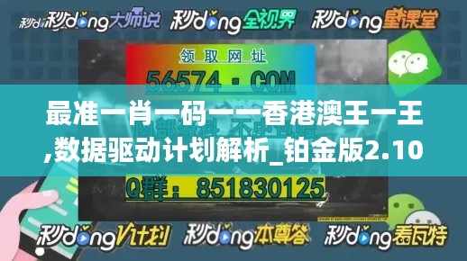 最准一肖一码一一香港澳王一王,数据驱动计划解析_铂金版2.103