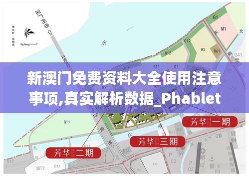 新澳门免费资料大全使用注意事项,真实解析数据_Phablet19.209