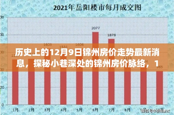 揭秘历史日期背后的锦州房价走势，最新动态与隐藏特色小店，12月9日深度解析