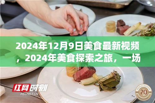 味蕾与自信的碰撞，2024年美食探索之旅最新视频