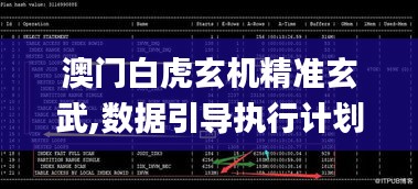 澳门白虎玄机精准玄武,数据引导执行计划_9DM1.728