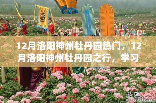 12月洛阳神州牡丹园之旅，感受变化的力量与自信绽放的芬芳