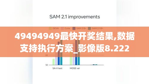 49494949最快开奖结果,数据支持执行方案_影像版8.222