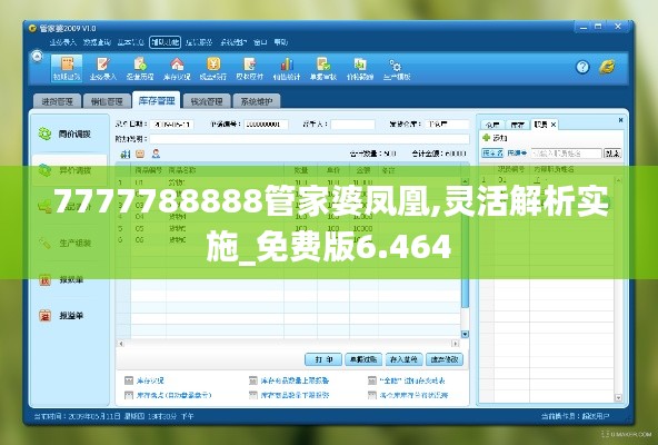 7777788888管家婆凤凰,灵活解析实施_免费版6.464