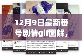 涉黄内容警示，揭秘最新剧情不等于传播低俗内容，十二月神秘剧情GIF图解的正确解读方式探讨