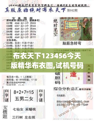 布衣天下123456今天版精华布衣图,试机号码,精细分析解释定义_AR版3.541