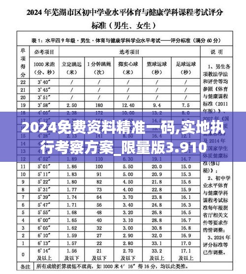 2024免费资料精准一码,实地执行考察方案_限量版3.910