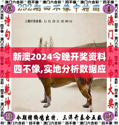 新澳2024今晚开奖资料四不像,实地分析数据应用_Holo7.369