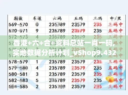 香港+六+合+资料总站一肖一码,实地数据分析计划_vShop9.432