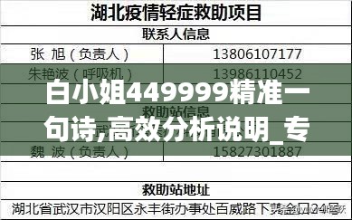 白小姐449999精准一句诗,高效分析说明_专属款17.487