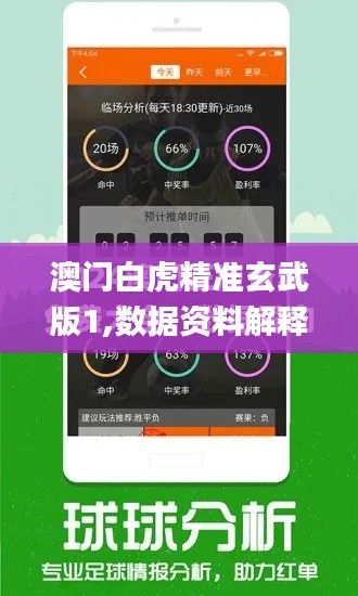 澳门白虎精准玄武版1,数据资料解释定义_安卓2.937