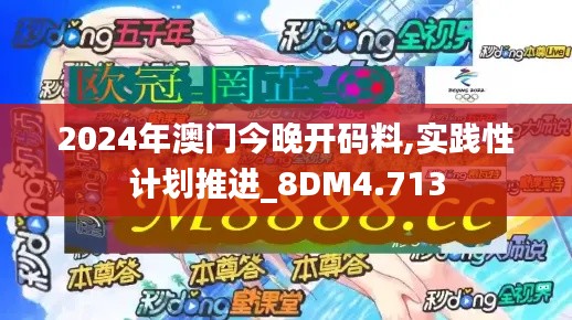 2024年澳门今晚开码料,实践性计划推进_8DM4.713