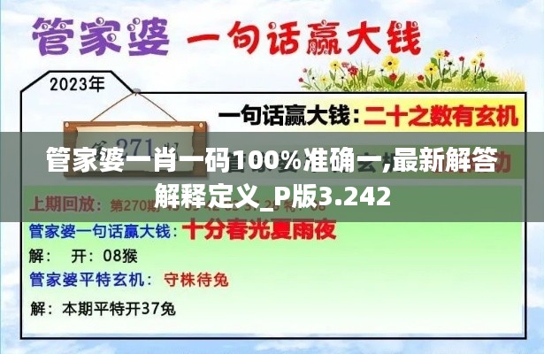 管家婆一肖一码100%准确一,最新解答解释定义_P版3.242