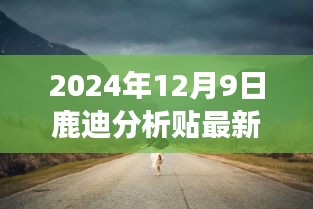 鹿迪带你游，探索自然美景的奇妙之旅启程日揭秘，最新分析贴发布于2024年12月9日