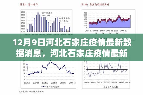 河北石家庄疫情最新数据消息获取指南，初学者与进阶用户适用（12月9日更新）