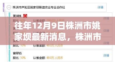 株洲市姚家坝最新消息获取指南，12月9日更新及初学者适用步骤