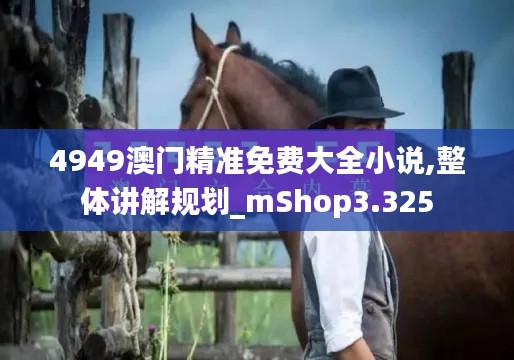 4949澳门精准免费大全小说,整体讲解规划_mShop3.325