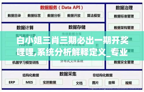 白小姐三肖三期必出一期开奖哩哩,系统分析解释定义_专业版10.837