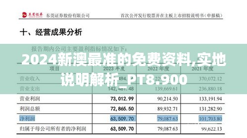 2024新澳最准的免费资料,实地说明解析_PT8.900