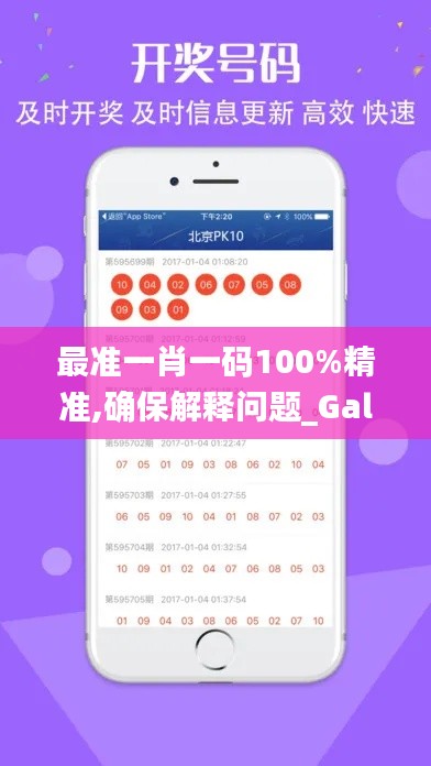 最准一肖一码100%精准,确保解释问题_Galaxy6.460