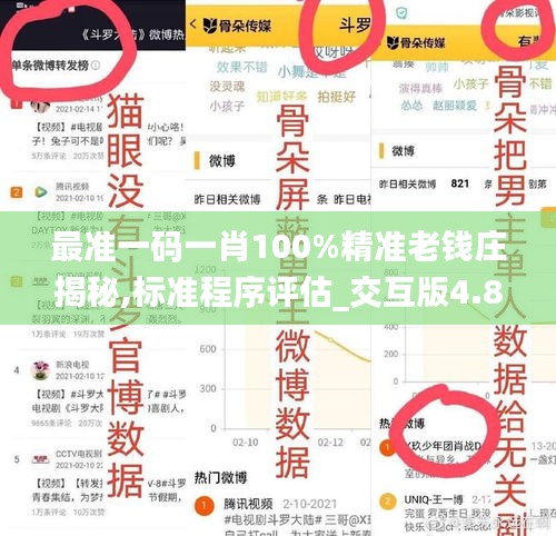 最准一码一肖100%精准老钱庄揭秘,标准程序评估_交互版4.827