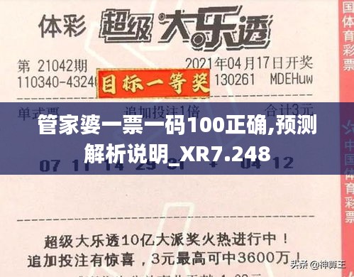 管家婆一票一码100正确,预测解析说明_XR7.248