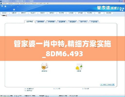 管家婆一肖中特,精细方案实施_8DM6.493