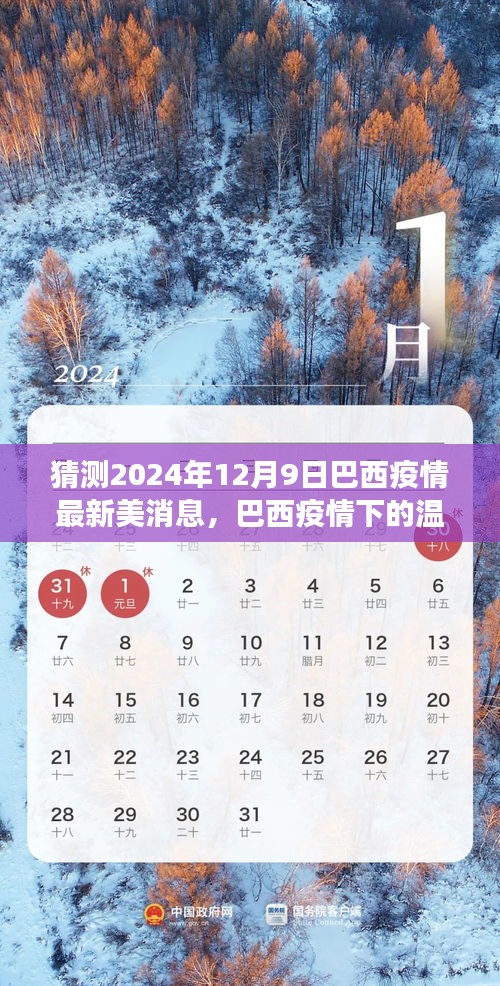 巴西疫情最新消息预测，友情与希望的温馨日常（2024年12月9日）