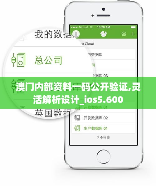 澳门内部资料一码公开验证,灵活解析设计_ios5.600