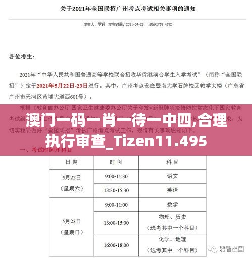 澳门一码一肖一待一中四,合理执行审查_Tizen11.495