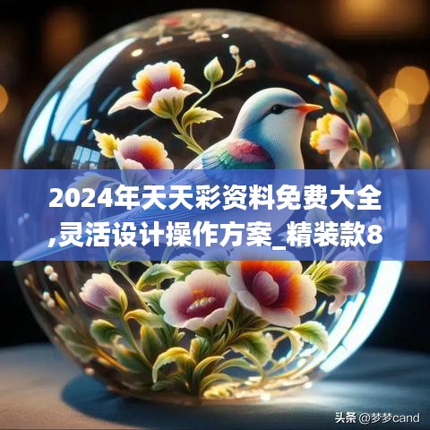 2024年天天彩资料免费大全,灵活设计操作方案_精装款8.642