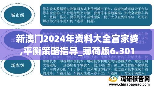 新澳门2024年资料大全宫家婆,平衡策略指导_薄荷版6.301