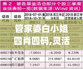 管家婆白小姐四肖四码,灵活性方案实施评估_S19.411