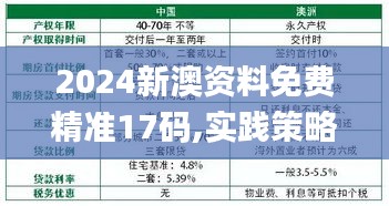 2024新澳资料免费精准17码,实践策略设计_SP4.188