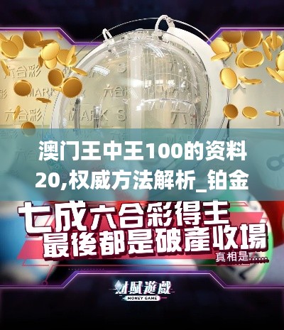 澳门王中王100的资料20,权威方法解析_铂金版1.385