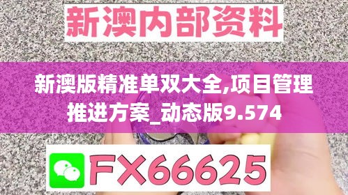 新澳版精准单双大全,项目管理推进方案_动态版9.574