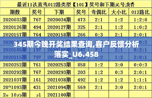 345期今晚开奖结果查询,客户反馈分析落实_U6.458