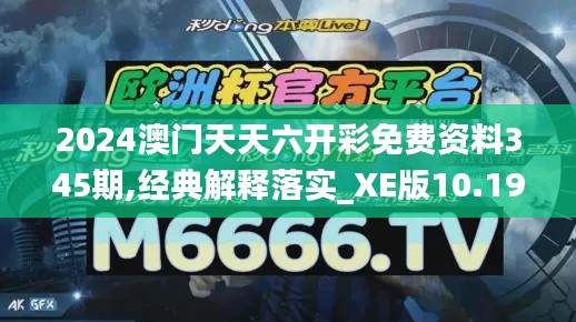 2024澳门天天六开彩免费资料345期,经典解释落实_XE版10.193