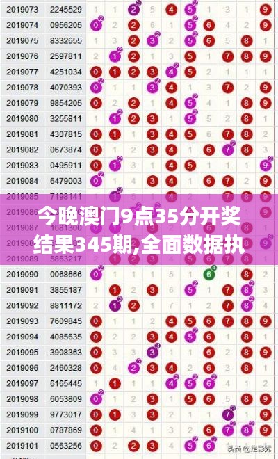 今晚澳门9点35分开奖结果345期,全面数据执行方案_理财版4.777