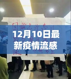 聚焦十二月十日，流感疫情最新动态与进展