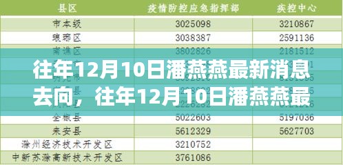 揭秘潘燕燕往年12月10日的最新去向与消息揭秘