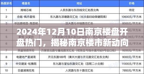 揭秘南京楼市新动向，2024年南京楼盘开盘热门全解析及市场趋势展望