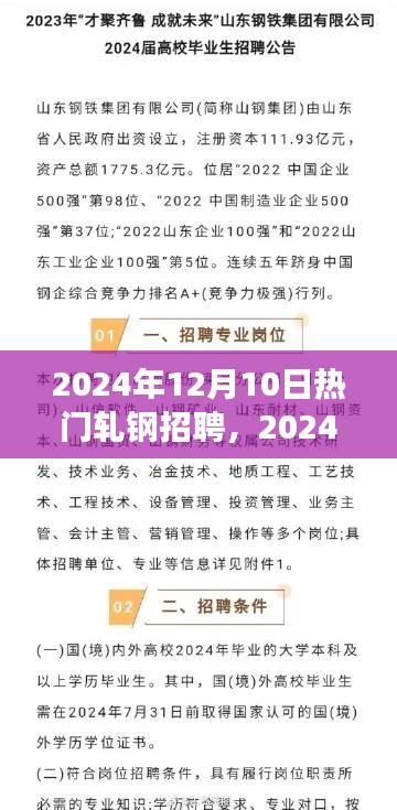 2024年轧钢行业人才盛宴，热门招聘背后的故事与影响