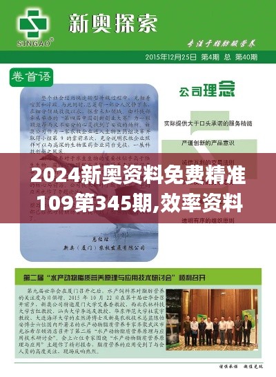 2024新奥资料免费精准109第345期,效率资料解释落实_移动版16.488