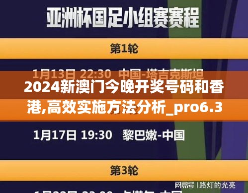 2024新澳门今晚开奖号码和香港,高效实施方法分析_pro6.367