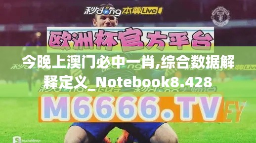 今晚上澳门必中一肖,综合数据解释定义_Notebook8.428