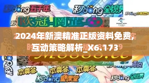 2024年新澳精准正版资料免费,互动策略解析_X6.173