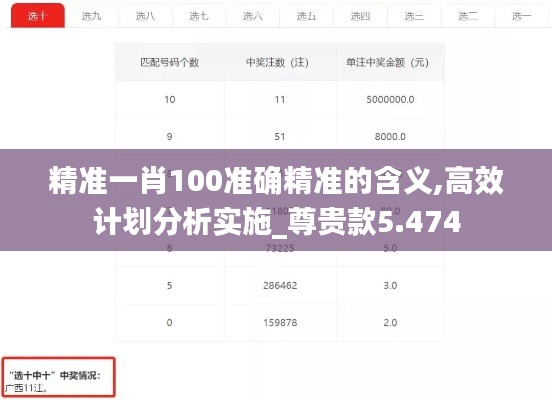 精准一肖100准确精准的含义,高效计划分析实施_尊贵款5.474